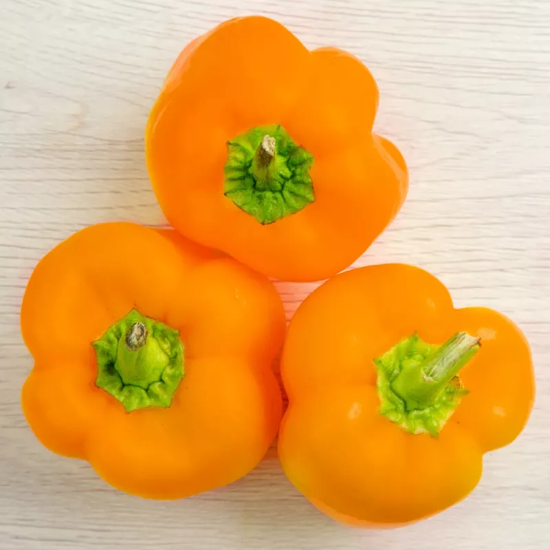 PNOS Paprika Etiuda Gemüsesamen, 0,5 g