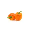 PNOS Paprika Etiuda Gemüsesamen, 0,5 g