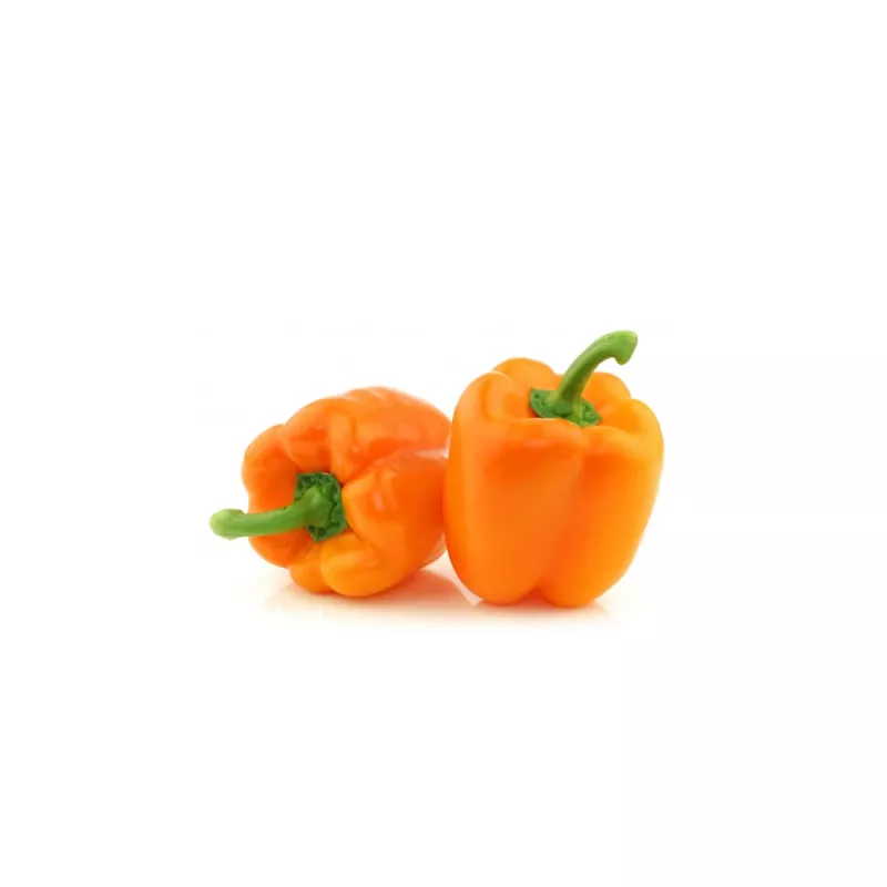 PNOS Paprika Etiuda Gemüsesamen, 0,5 g