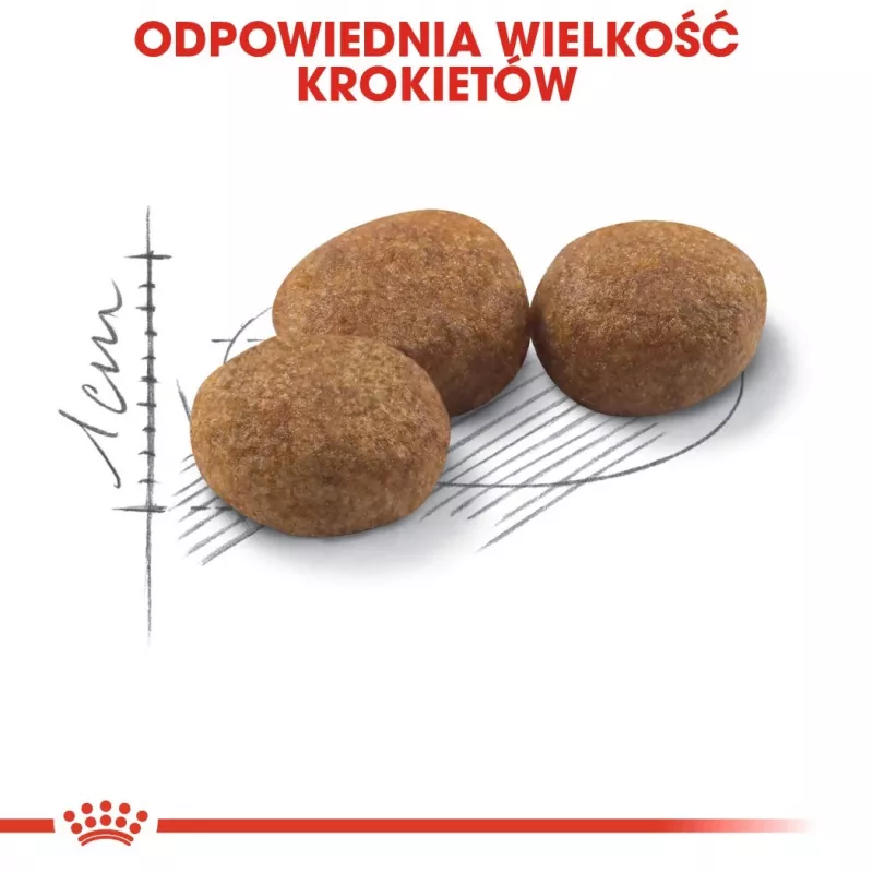 ROYAL CANIN Sterilised 37 - Trockenfutter für Katzen - 10 kg