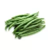 Nomad Green Dwarf Bohnensamen, 50g - Gemüsesamen