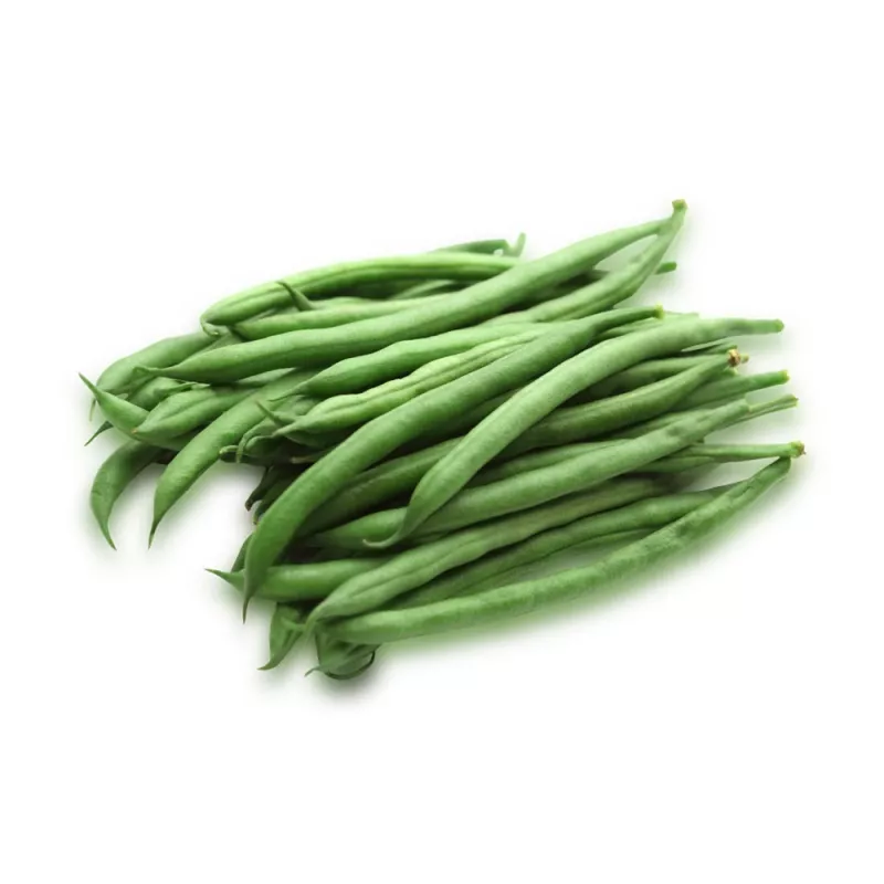 Nomad Green Dwarf Bohnensamen, 50g - Gemüsesamen