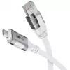 Goobay 74177 - Netzwerkadapter Kabel USB 3.1 Type C Gigabit Ethernet 3 m - Network Card - 1.000 Mbps (74177)