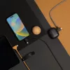 Lade- und Datenkabel native union Belt Kabel Duo Pro USB-C auf USB-C und Lightning Schwarz