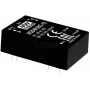 Netzteil/Wandler mean well RDDW08F-05, Ausgang 5 V, 8 W, 0,8 A