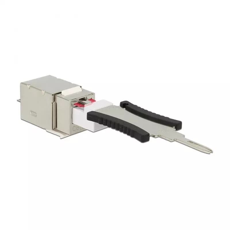 Delock 86404 Keystone-Modul RJ45 Secure Cat.6 auf LSA, Weiß