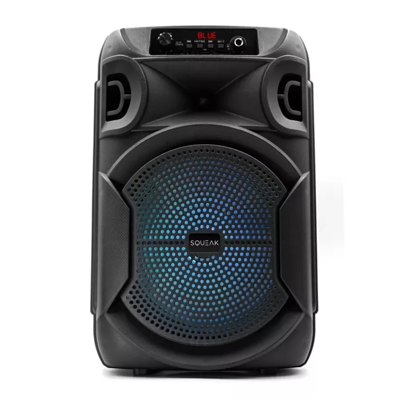 BLUETOOTH SPEAKER 5.3 E DR PULSETOWER SQ1006