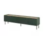 4D RTV-Schrank ONDA 200x40xH54.35 grün (stehend oder wandmontiert)
