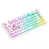 Gaming-Tastatur Savio Phenix WHITE GAT RED PUD Kabelgebunden Kabellos USB Bluetooth RGB LED