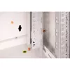 DIGITUS® 7HE Wandgehäuse - Grau, RAL 7035 - 48,3 cm (19) (DN-19 07-U)