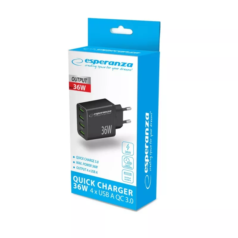 Esperanza EZC107K Netzladegerät 36W Schwarz