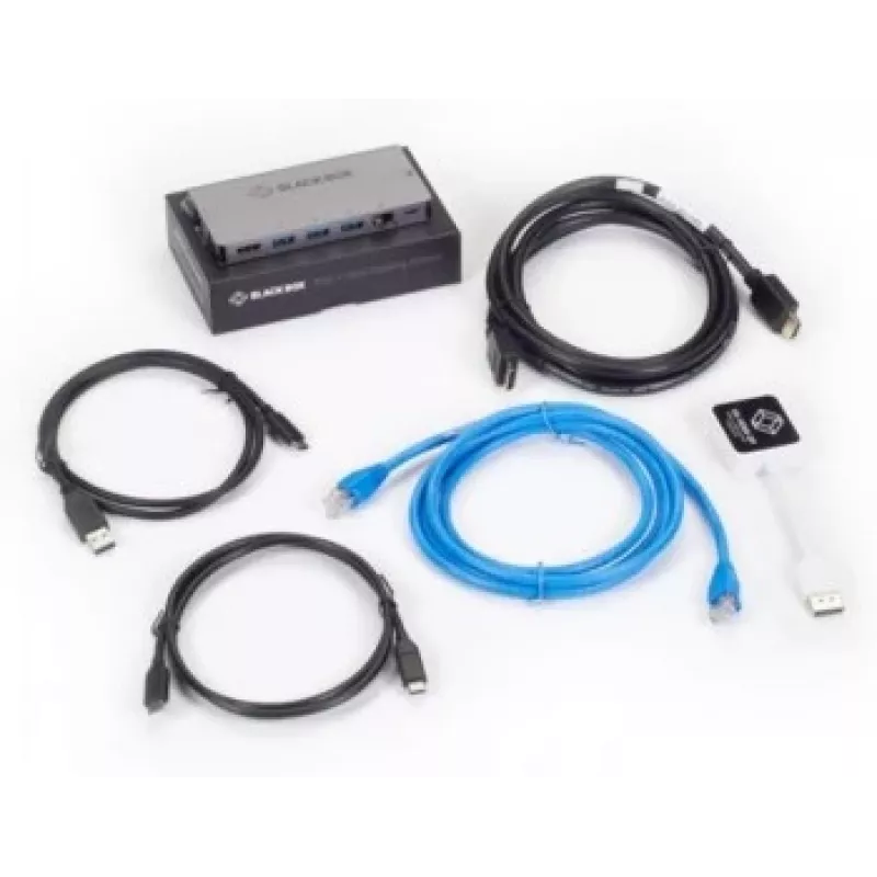 Black Box USB C Dockingstation - Displayport-Paket
