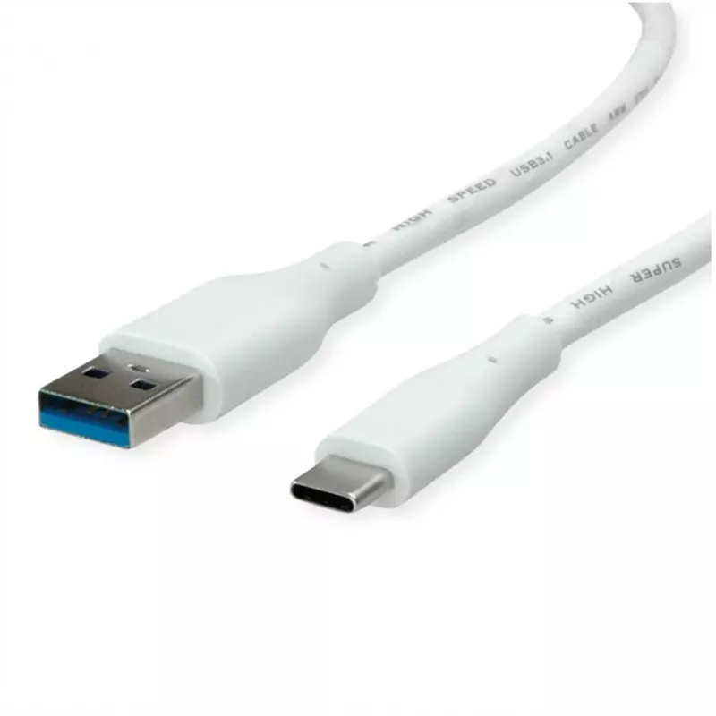 ROTRONIC-SECOMP VALUE - USB-Kabel - USB Typ A (M) auf USB-C (M)