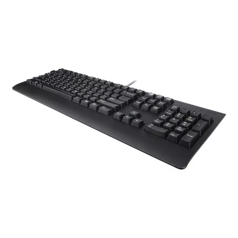 Lenovo Preferred Pro II USB QWERTY Tastatur