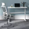Manuell höhenverstellbarer Schreibtisch Ergo Office, max. 40 kg, max. Höhe 117 cm, mit Tischplatte für Arbeiten im Stehen und Sitzen, ER-401 W