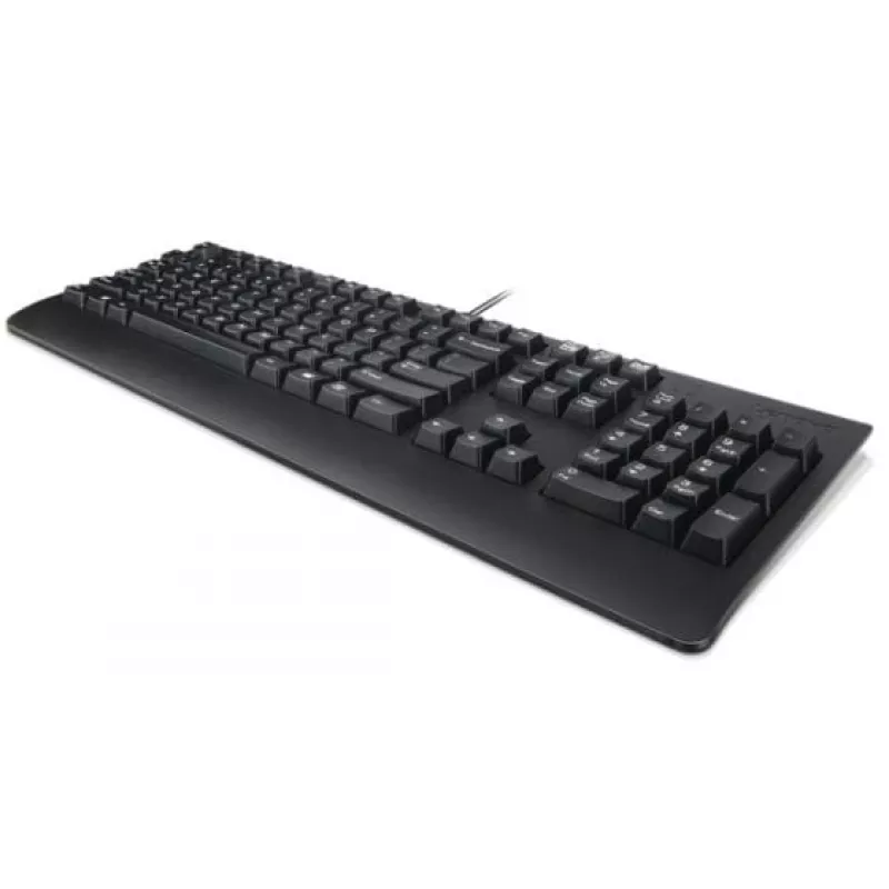 Lenovo Preferred Pro II USB QWERTY Tastatur