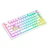 MECHANICAL Tastatur SAVIO
