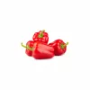 PNOS Ozarowska Paprika umhüllte Samen, 50er-Pack
