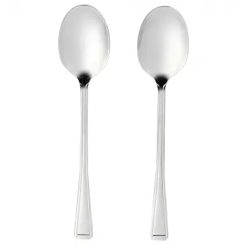 Servierlöffel-Set Salter BW09649 – 2-teilig aus Edelstahl, spülmaschinenfest