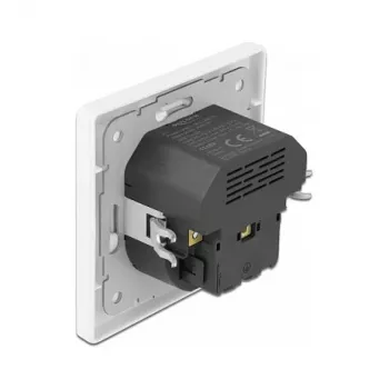 DeLOCK 11489 Steckdose CEE 7/3 + USB Weiß 250V 16A
