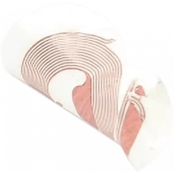 NFC-Aufkleber SCOT NTAG213 18 mm weiß, RFID-Tag, 10er-Pack