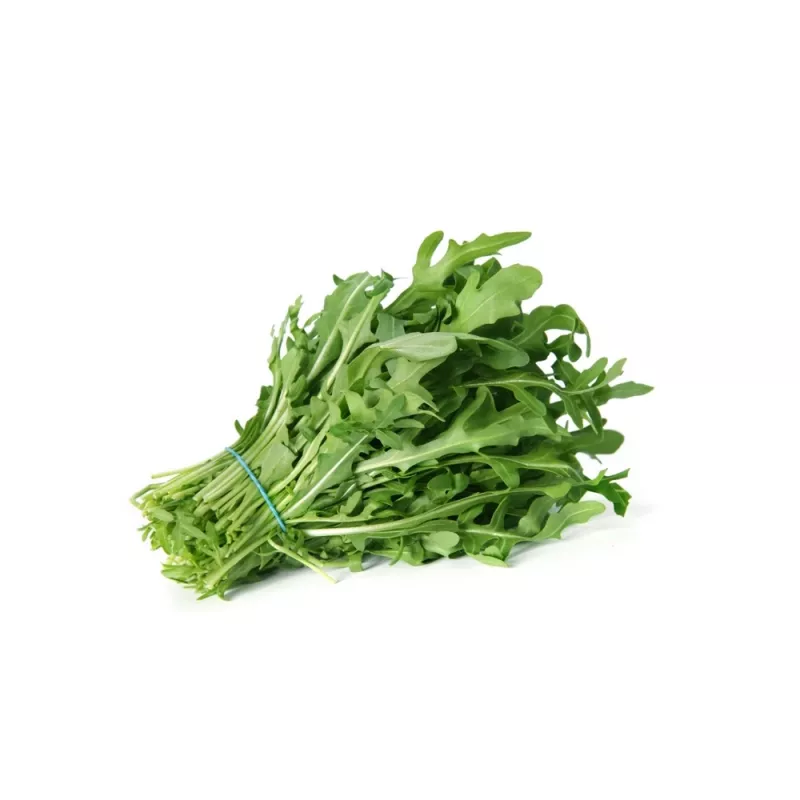 PNOS Rucola Eruca sativa Saatgut auf Band, 6 m