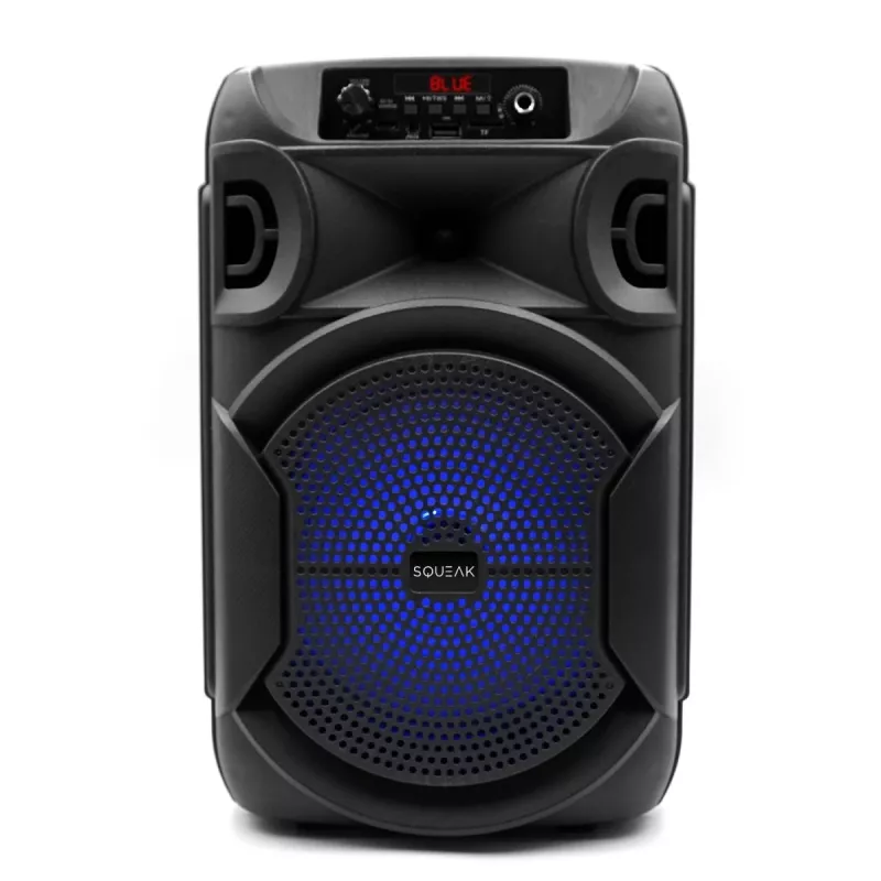 BLUETOOTH SPEAKER 5.3 E DR PULSETOWER SQ1006