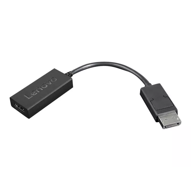 Lenovo 4X90R61023 DisplayPort-auf-HDMI-2.0b-Adapter, DP-Stecker auf HDMI-Buchse, 22,5 cm, 4K, Schwarz