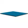 Thermal Grizzly Minus Pad Advance - 100 x 100 x 1.0 mm, 2 Stück