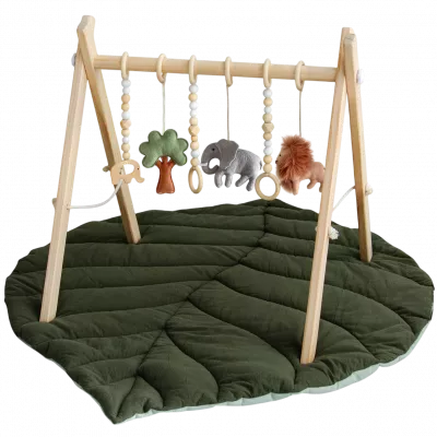 Babyspielzeug & Aktivitätsgeräte