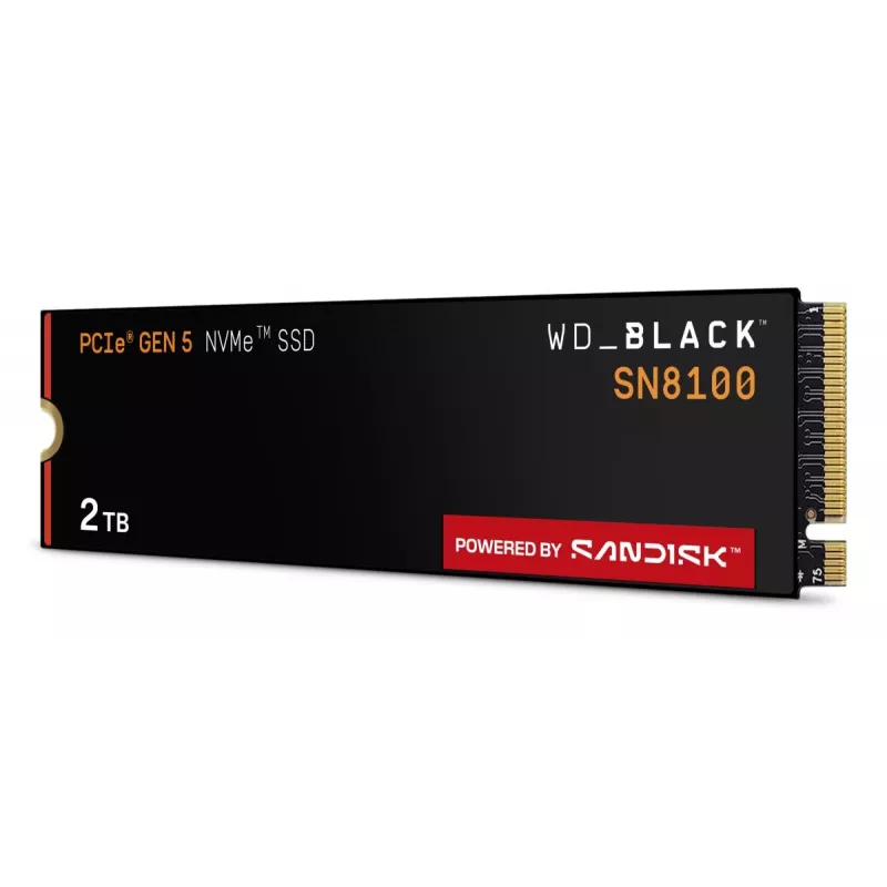 WESTERN DIGITAL SSD - WD_BLACK SN8100 - 2TB - M.2 2280