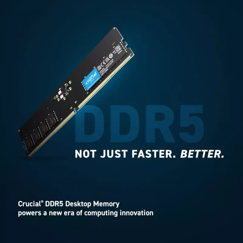 MICRON / CRUCIAL Crucial 32GB DDR5-5600 UDIMM