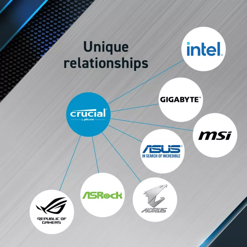 Crucial Pro - DDR5 - Modul - 48 GB - DIMM 288-PIN Low Profile