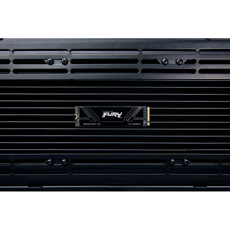 SSD-Festplatte Kingston Technology 1 TB M.2 NVMe FURY RENEGADE G5