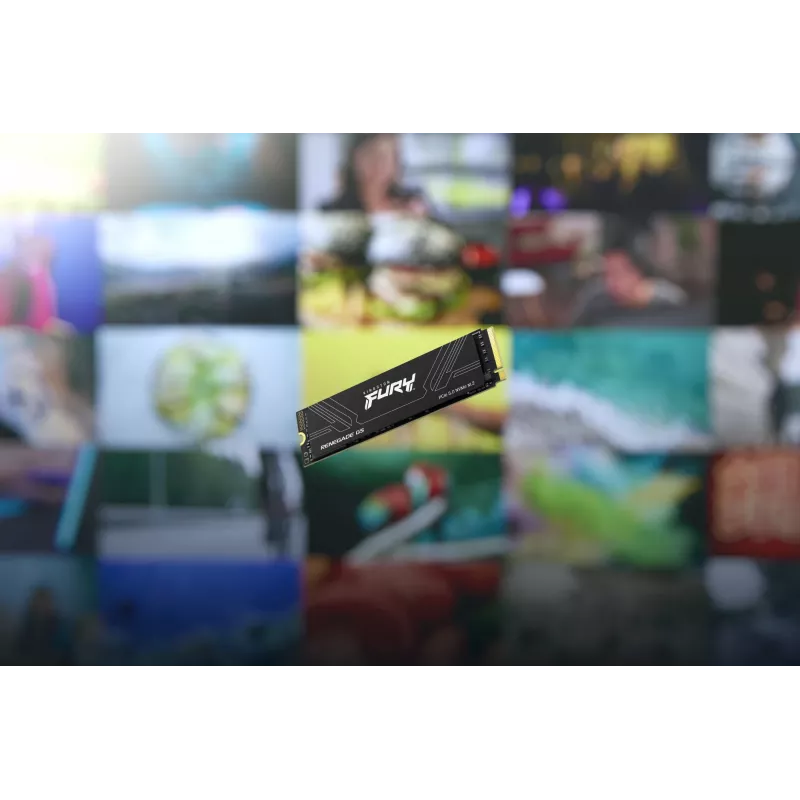 SSD-Festplatte Kingston Technology 1 TB M.2 NVMe FURY RENEGADE G5