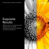Xerox 006R04398 Tonerkartusche 1 Stück Original Gelb