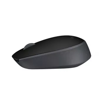 LOGITECH M171 Kabellose Maus Schwarz EMEA
