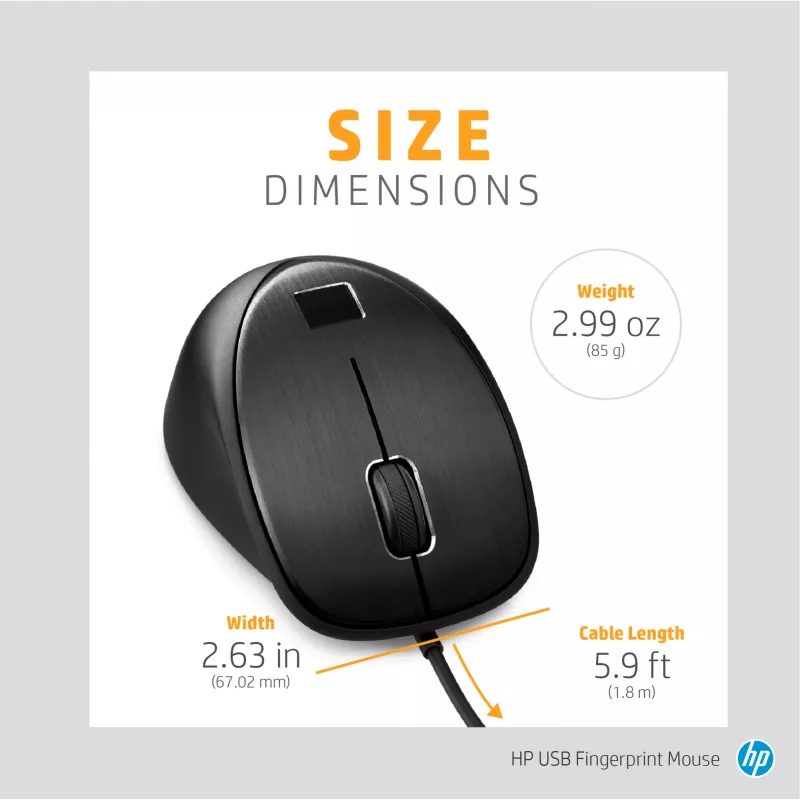 HP USB-Fingerabdruckmaus, beidhändig, USB Type-A, schwarz