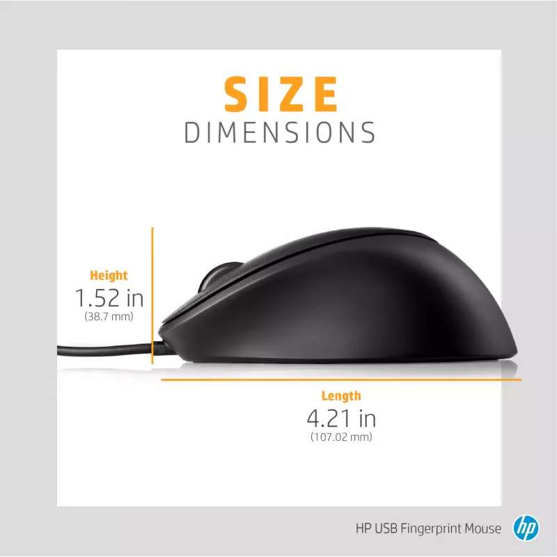 HP USB-Fingerabdruckmaus, beidhändig, USB Type-A, schwarz