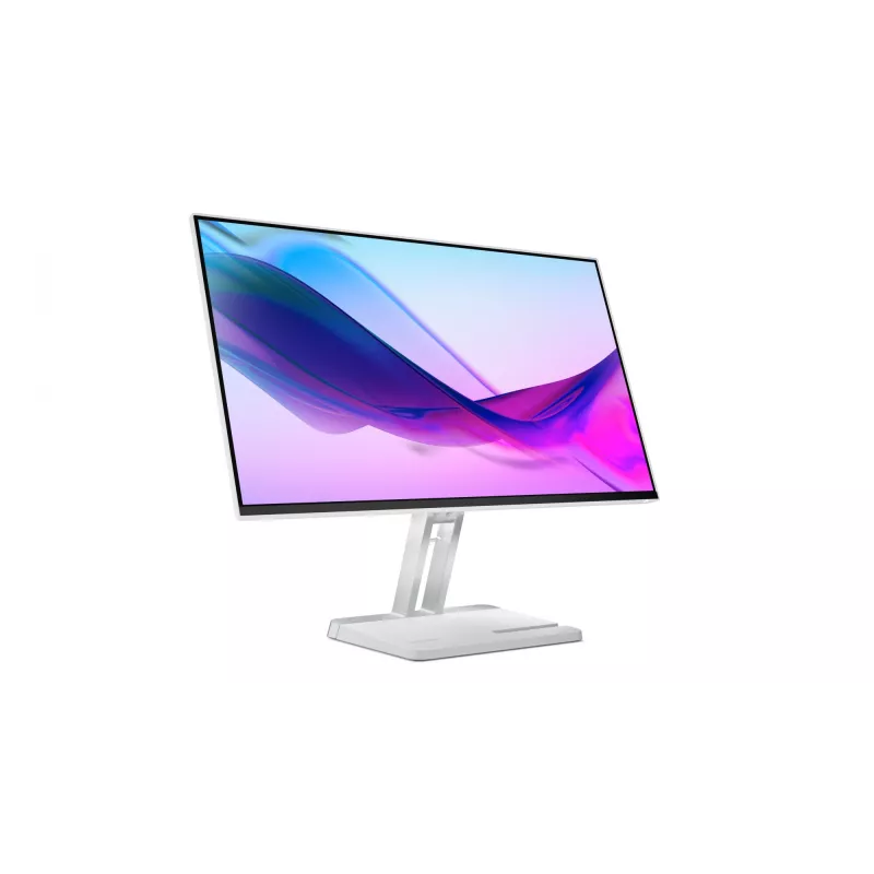 Lenovo L24i-4A Computerbildschirm 60,5 cm (23,8 Zoll) 1920 x 1080 Pixel Full HD LED Grau