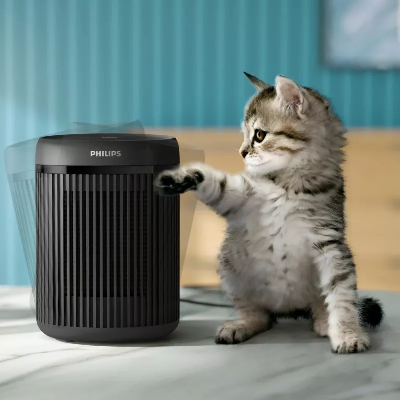Fan electric heater Philips CX2120/01 1500 W Indoor Black