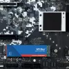 WESTERN DIGITAL SSD - WD Blue SA510 - 500GB - SATA 6Gb/s - M.2 2280