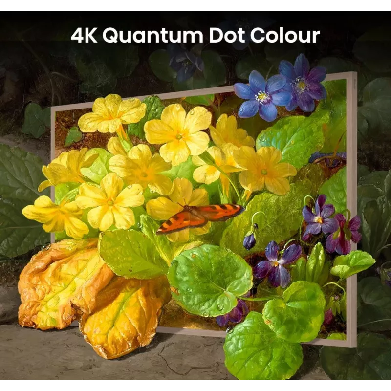 Hisense 55 Zoll S7NQTUK Canvas TV mit Freely & ArtMode