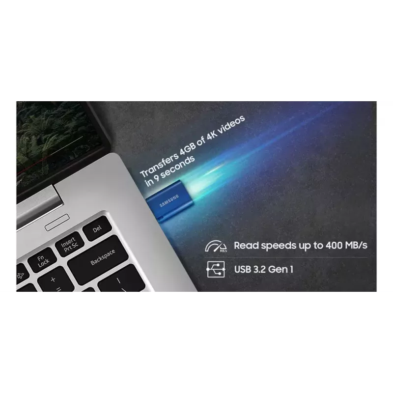 Samsung MUF-256DA USB-Stick 256 GB USB Typ-C 3.2 Gen 1 (3.1 Gen 1) Blau