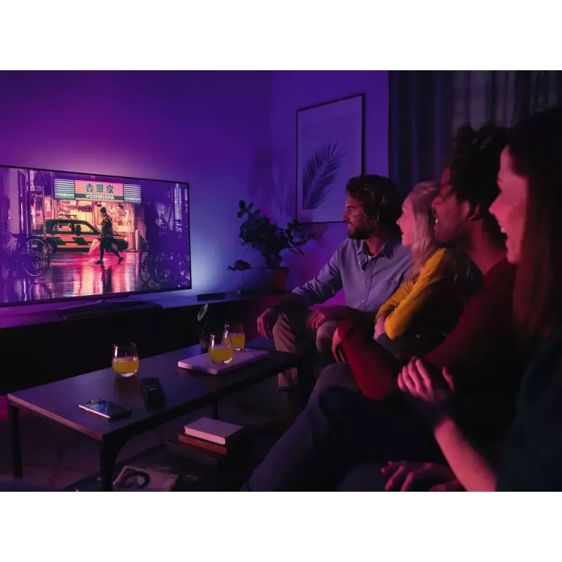 Philips Hue White and Colour Ambience Play Light Bar Doppelpack
