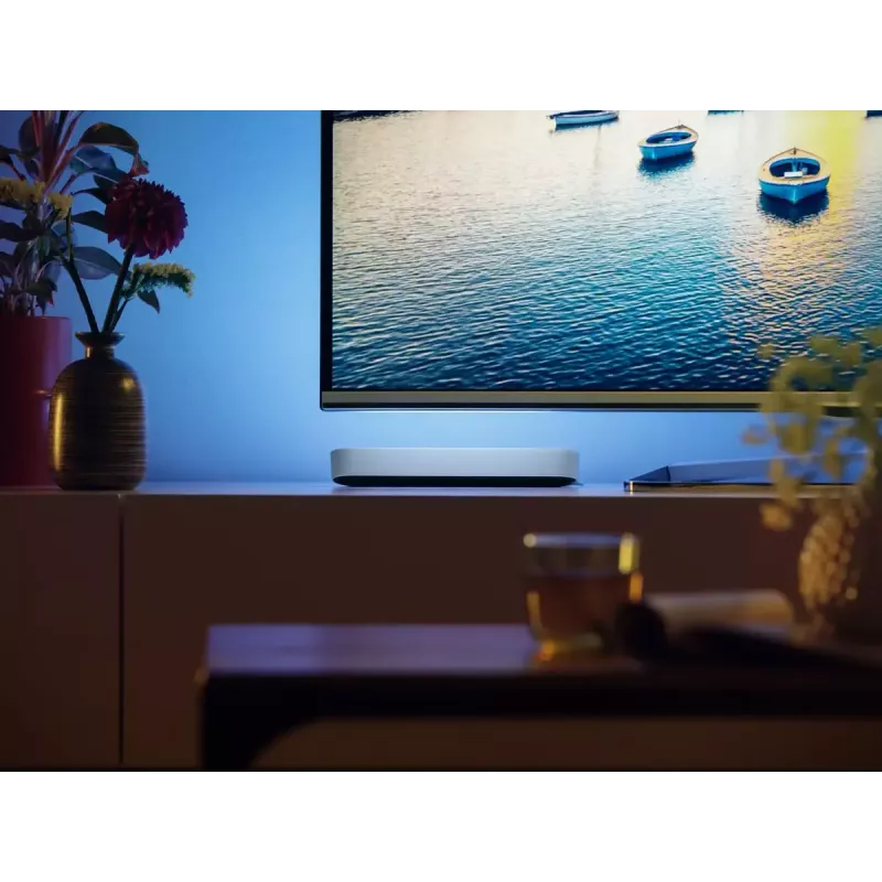 Philips Hue White and Colour Ambience Play Light Bar Doppelpack