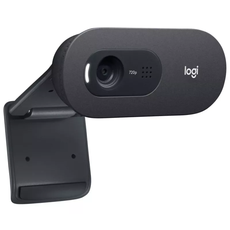 LOGITECH C505e Webcam USB Schwarz
