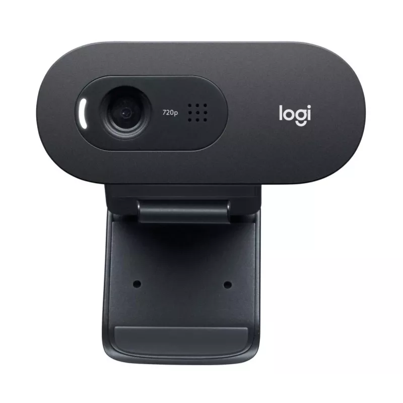 LOGITECH C505e Webcam USB Schwarz