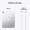 APPLE iPad Pro M5 - 13 Zoll - Wi-Fi + Cellular - 256 GB - Standardglas - Silber