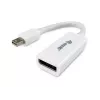 Mini DisplayPort auf DisplayPort Adapter Equip 133440